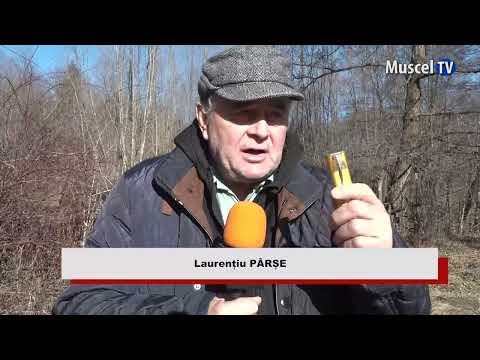 Jurnal MUSCEL TV 31.01.2024 Scandal la Bughea de Sus pentru o potecă de acces
