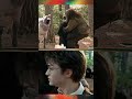 Harry Potter Buckbeak Scene Without CGI