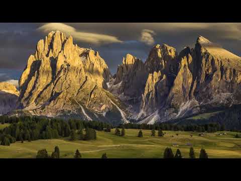 John Wheeler - "Chasing the Californian Guru Game" (Urban Guru Cafe)