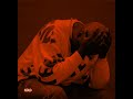 Kelvin Momo - Soweto Groove (ft. Sipho Magudulela, Jay Sax) (slowed + reverb)