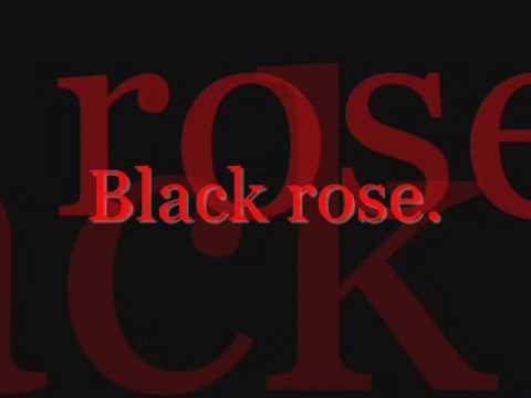 Lyrics Black Rose Trapt Wattpad Discover the meaning of the song black rose lyrics by trapt and share your lyric interpretation. wattpad