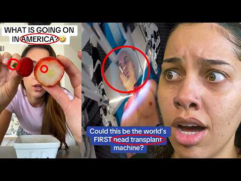 TikToks That Feel ILLEGAL to Watch