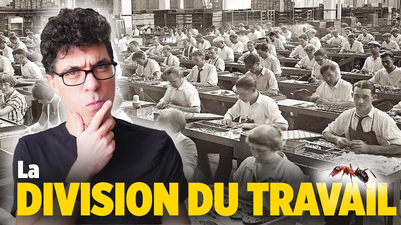 Peut-on travailler COMME DES FOURMIS ? 🐜 🐜 🐜