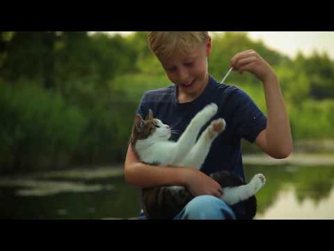 Imagefilm der Stadt Angermuende