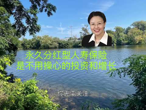 永久分红型人寿保险是不用操心的投资和增长