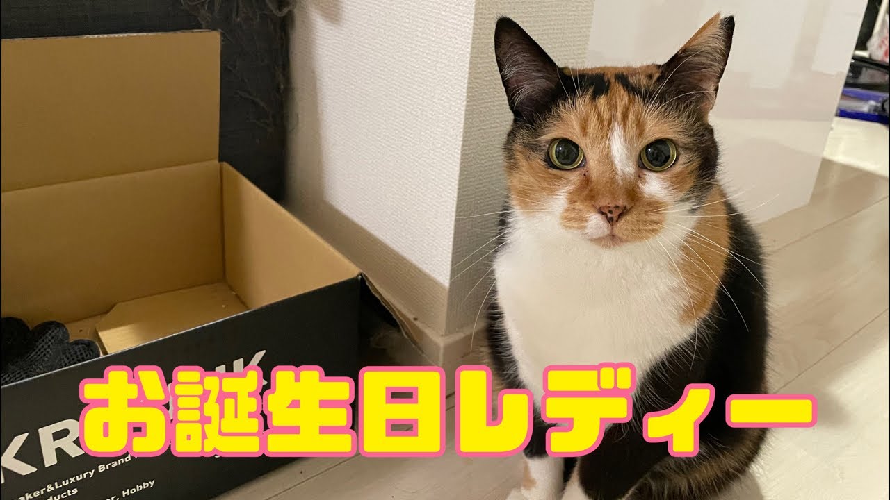 楽姫様のお誕生日である。