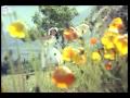 Idedo Golaga Undi Full Song Pasivadi Pranam