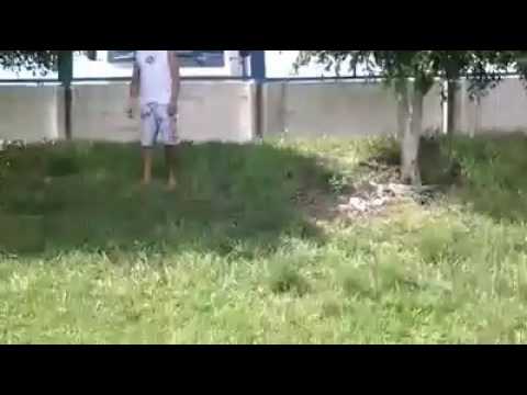 Bidiu e seu Filho Treinado !!!