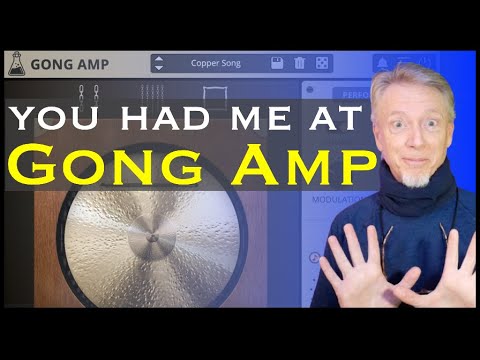 Gong Amp | Hainbach's unique plug-in amplifier effect