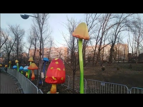 Potraga za gljivama po parkovima