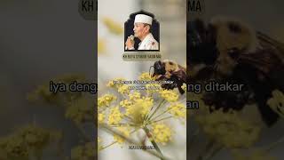 Download lagu Ternyata nikmat itu azab, kalo... | KH Buya Syakur Yasin MA mp3