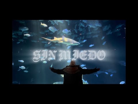 Reikat - Sin Miedo (video oficial)