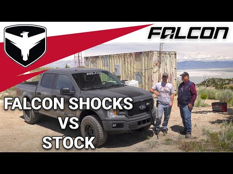 Falcon Shocks: Falcon vs. Stock