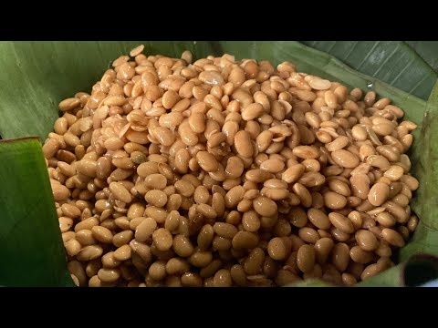 How to make kinema (natto) from scratch