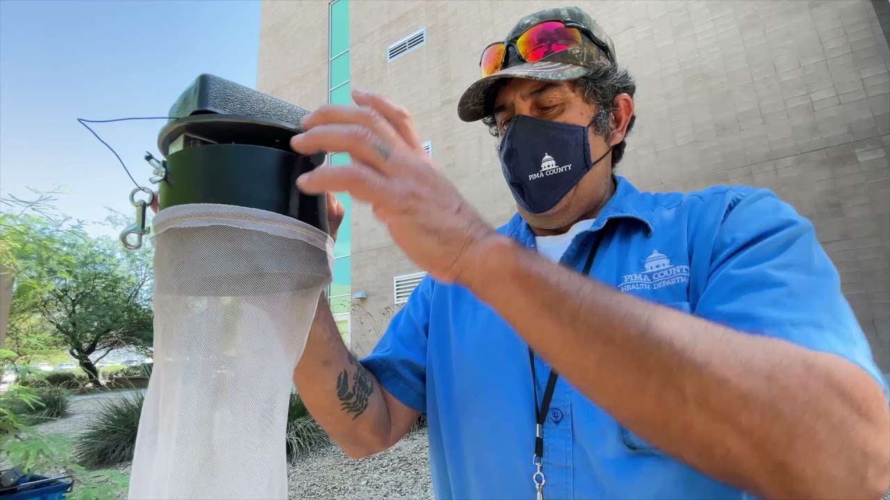 Mosquito Control and Disease Monitoring