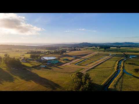 Haras en Laguna del Sauce