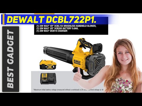DeWALT DCBL722P1 Review