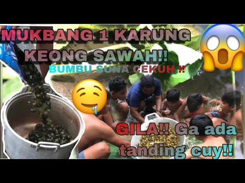 mukbang-keong-sawah-kakul-bali-bumbu-paten-ludes-tanpa-sisa