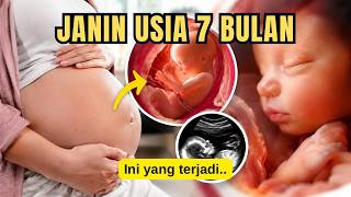 Download lagu PERKEMBANGAN JANIN USIA 7 BULAN mp3 Download lagu PERKEMBANGAN JANIN USIA 7 BULAN mp3