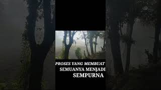 Download lagu LAGU SATU IWAN FALS #shorts #youtubeshorts  #iwanfals mp3