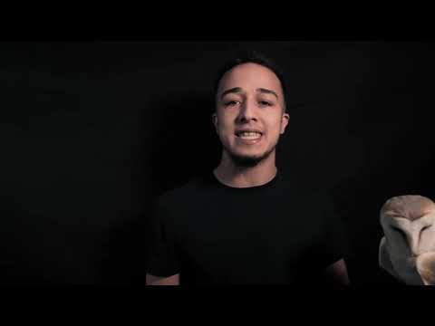 YUNG TRXGZ - HIGH (PROD BY TRÉ GEAR)