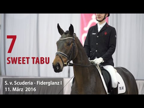 07 Sweet Tabu Stute v. Scuderia - Fiderglanz