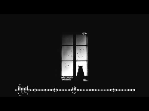 Mấy con mèo - Datmaniac