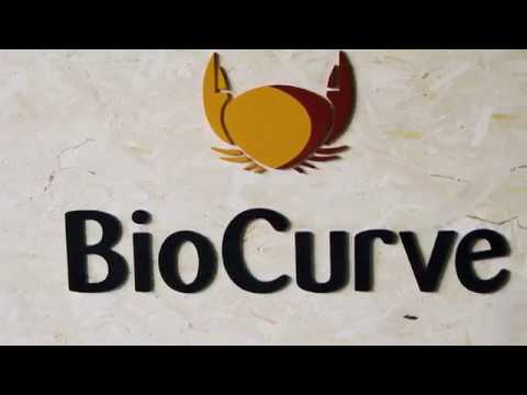 download lagu mp3 mp4 Biocurve, download lagu Biocurve gratis, unduh video klip Biocurve