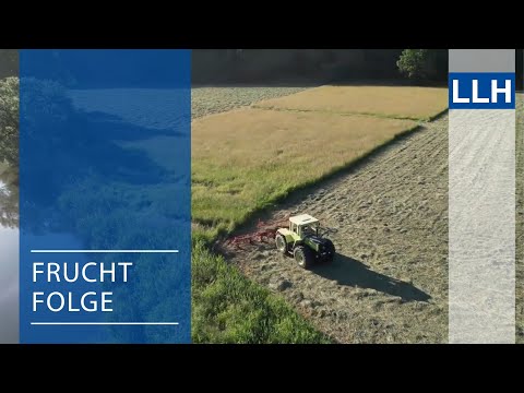 Fruchtfolge (Teil 4) -  Milchvieh- und Marktfruchtbetrieb stellt seine Fruchtfolge vor