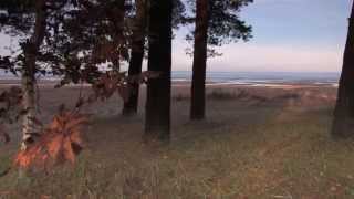preview picture of video '2013.Осень на Финском заливе.Gulf of Finland autumn .Russia St.-Petersburg.'