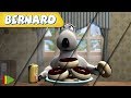 Bernard Bear Little Dog 2 AND MORE 30 Min Compilation Cartoons For KIDS