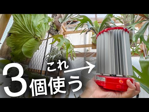 電気なしで冬に温室を暖めるにはどうすればよいですか？環境に優しく安価な 3 つのソリューション  庭園