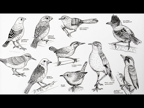 Old school Japanese geometry