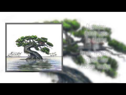 Syncatto - A Place to Hide (Full Album Stream)