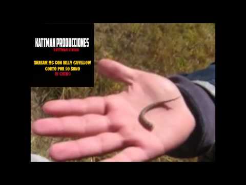 KATTMAN A.k.a. SKREAMMC con BILLY GAVILLOW y CHEKO TMK- Corto por lo sano