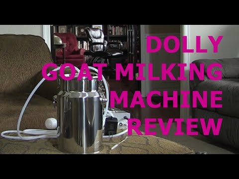 DOLLY GOAT MILKING MACHINE REVIEW