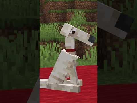 Erst MAXWELL und jetzt BORZOI??😂 (MINECRAFT) #minecraftshorts #minecraftaber #lustig #Borzoi