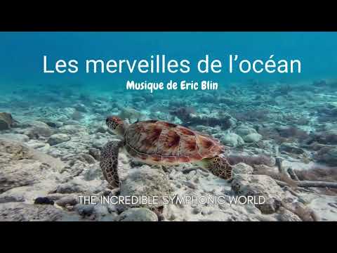 WONDERS OF THE OCEAN | Eric Blin | Festival mondial