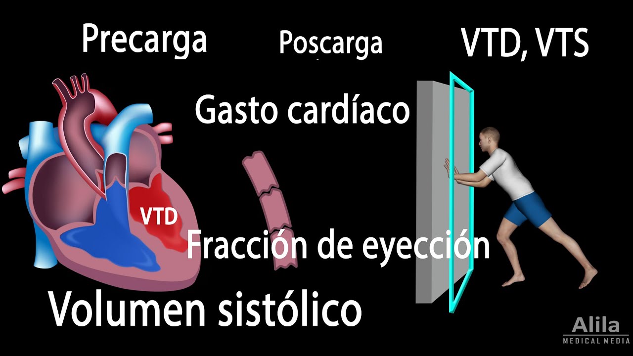 Gasto cardíaco, Volumen sistólico, VTD, VTS, Fracción de eyección, Animación