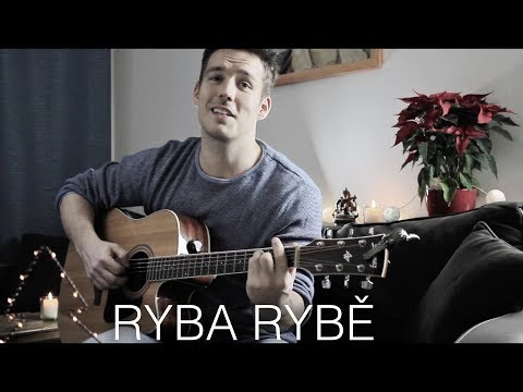 Ryba rybě - Janek Ledecký (Cover Adam Mrázek)
