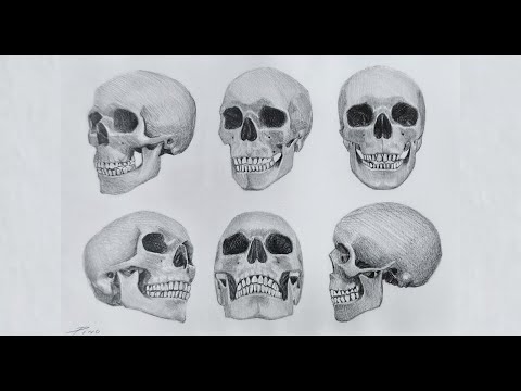 APRENDE A DIBUJAR EL CRÁNEO HOY MISMO 💀
