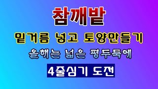 [텃밭농부 1,878]  참깨밭에 밑거름 넣고 토양만들기. 평두둑 4줄심기 도전. #참깨재배