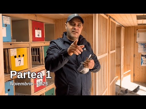 Jores Andrei – The Work, Ambition and Results of an Extreme Marathon Breeder! (Part 1)