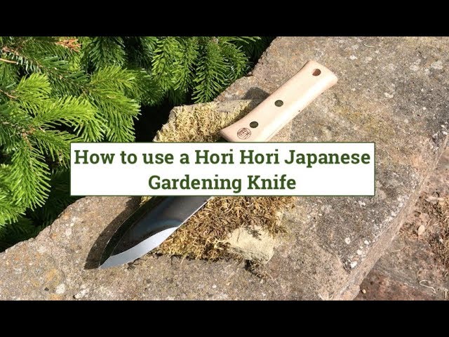 Vídeo relacionado con Hori Hori Jardín Cuchillo, Ideal Jardineria Cavando Paisajismo Escarda Herramienta, Hoja de Acero Inoxidable con Proteccion Guardamanos y Full Tang