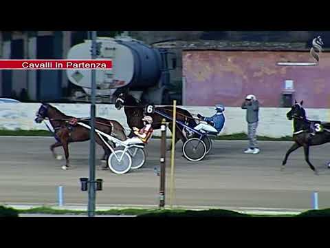 Aversa trotto 16 Febbraio 2022 - 7° Corsa