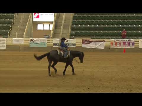 190728 Short Stirrup Addison Sawyer on Whizkey At Dawn