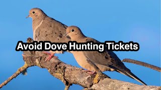 How To Avoid A Dove a Hunting Ticket 2023