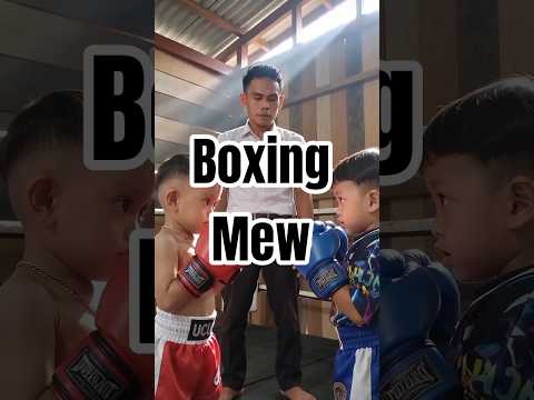 Boxing Mew #funny #comedy