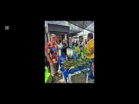 San Pedro Urabá Raíces De Nuestra Cultura  