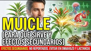 MUICLE: USES AND SIDE EFFECTS